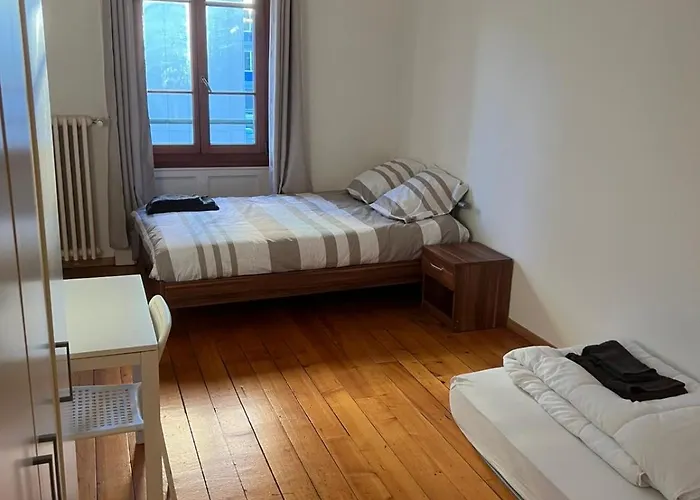Spacieux Studio Au Coeur De Geneve