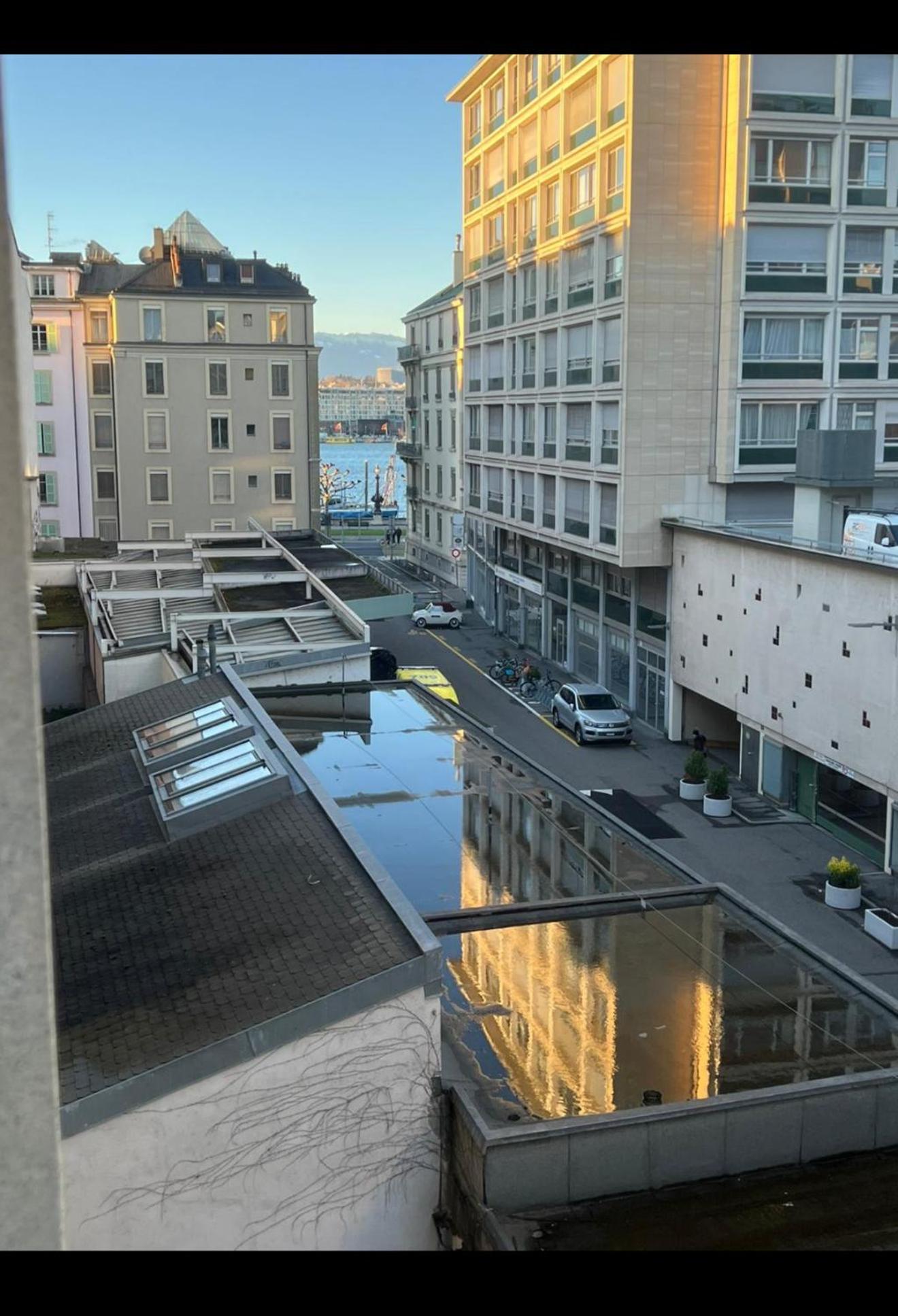 Apartment Spacieux Au Coeur De Geneva